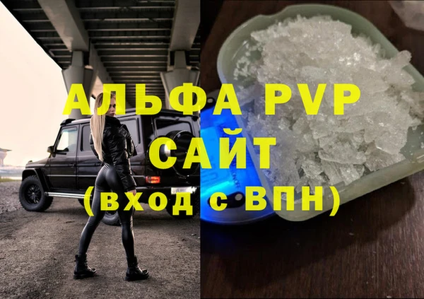 ГАЛЛЮЦИНОГЕННЫЕ ГРИБЫ Бородино